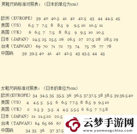 欧洲码与中国码：创新热潮中的奇异纠缠